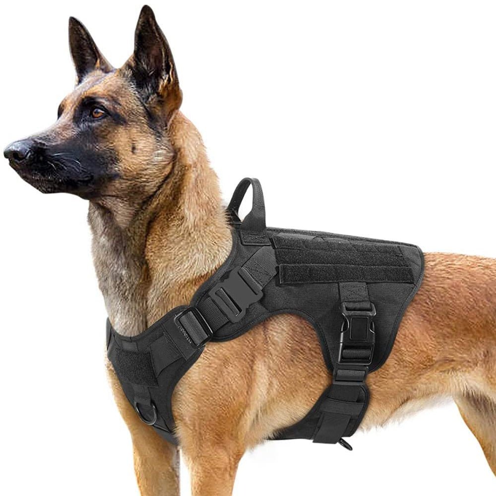 AlphaGuard K9 Harness - Military Overstock