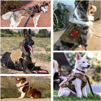 Thumbnail for AlphaGuard K9 Harness - Military Overstock