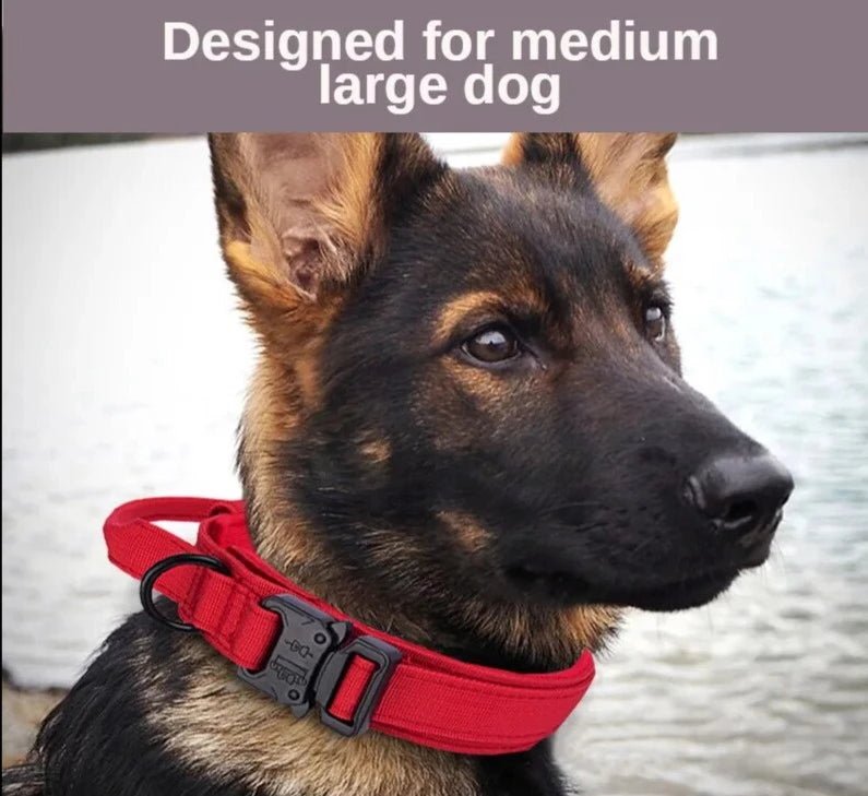 Quick Release Tactical Dog Collar - Military Overstock